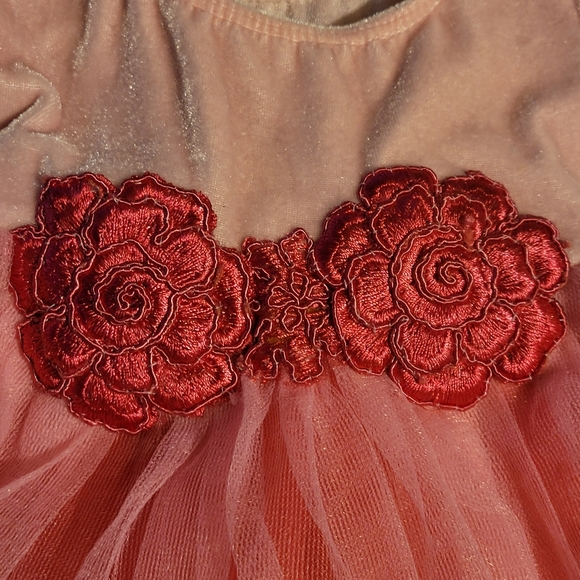 Baby tutu dress - Picture 3 of 6